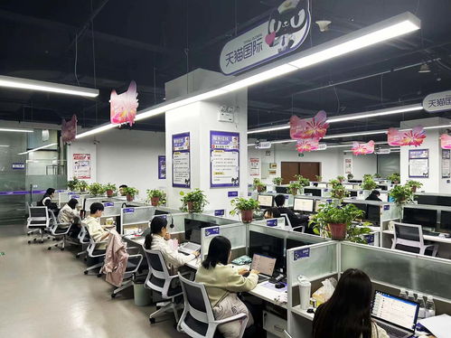 揚(yáng)州天貓國(guó)際自營(yíng)服務(wù)中心迎咨詢高峰，300名大學(xué)生支援客服工作